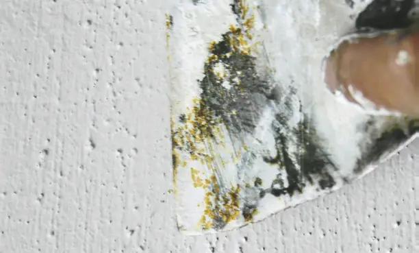 11-como-pintar-paredes-tons-escuros